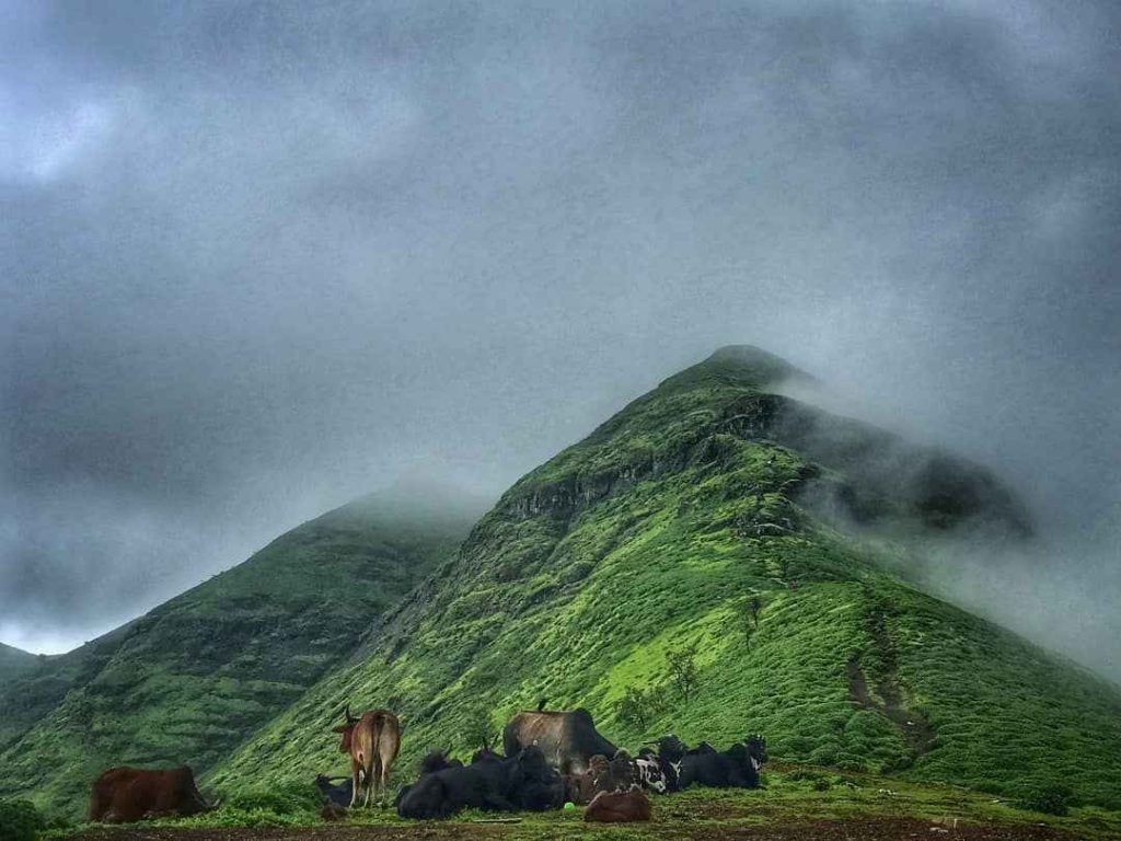 nashik hotel packages 