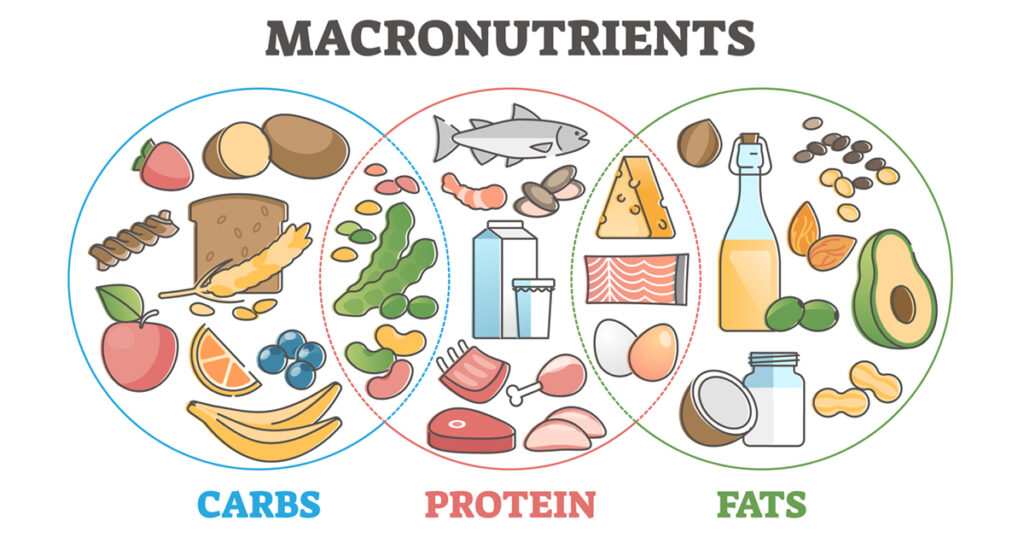 macronutrients