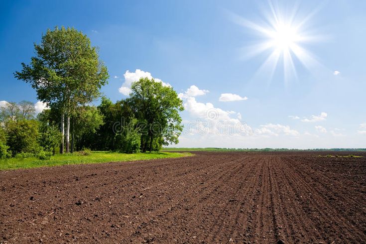 non agriculture plots in Nashik