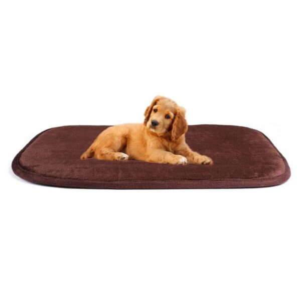 ZL Colourful Angular Pet Mats - Image 3