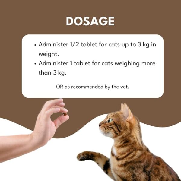 Petroyale Skin and Coat Chews for Cat-Skin Coat Tablets for Cat - Image 2