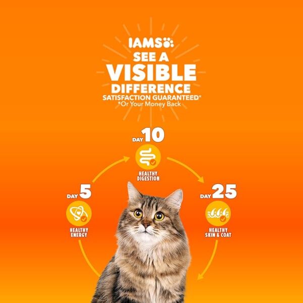 IAMS Proactive Health Original Adult Dry Cat Food - Image 3