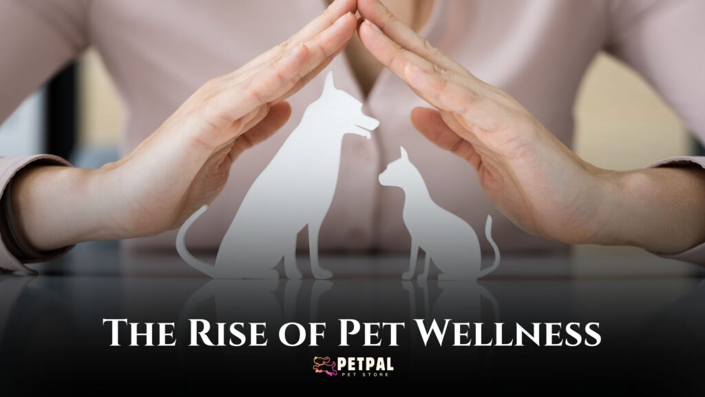 The Rise of Pet Wellness: How to Keep Your Pet in Optimal Health In 2024