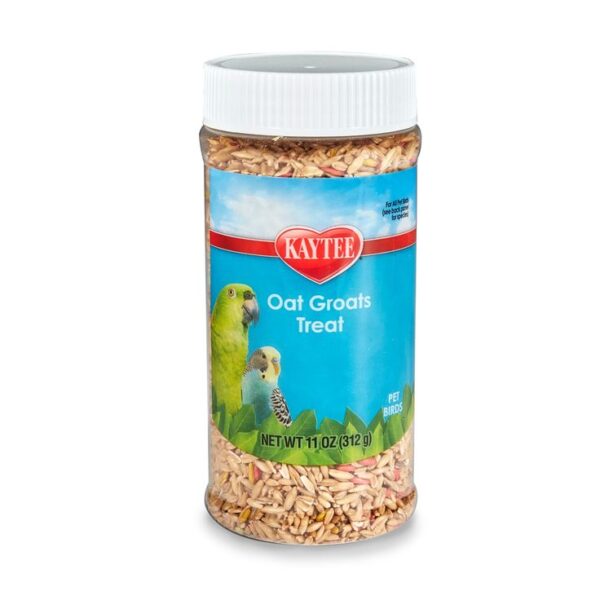 Kaytee Oat Groats Treat Jar for Pet Birds, 11 oz.