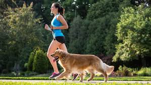 Pet Wellness