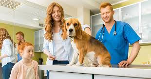 Pet Health Check up