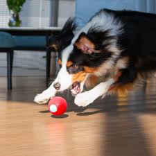 Pet toys