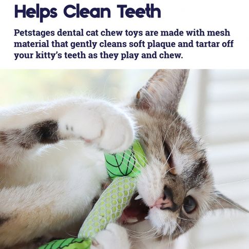 Outward Hound Fresh Breath Mint Stick Cat Toy - 11 cm - Image 2