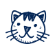 Pet Care Services in Nashik
