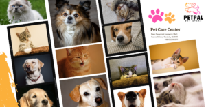 Pet Care Clinic