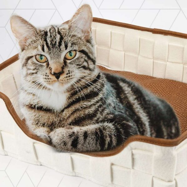 16 inch PrimePets Cat Bed for Indoor Cats, Reversible Mat