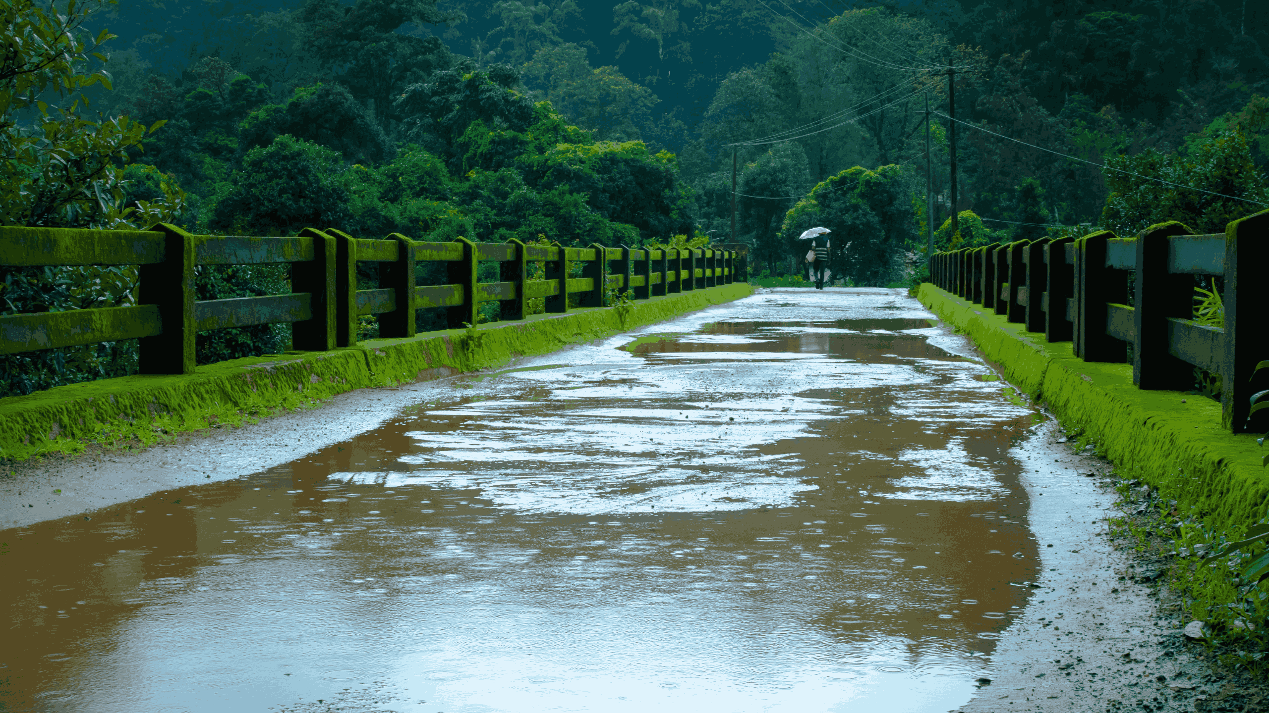 Escapes The Wonderful Monsoon Destinations That Shine In The Rain