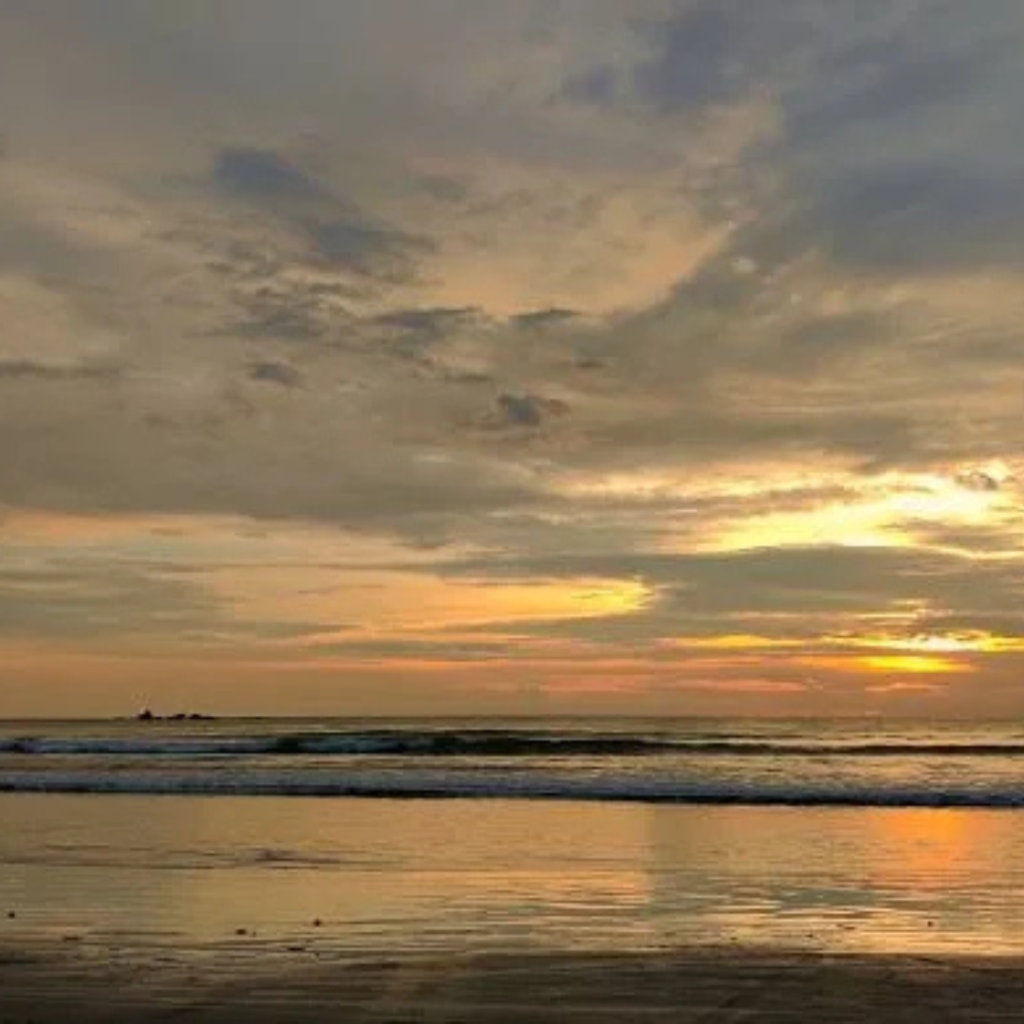best tours and travels in Nashik